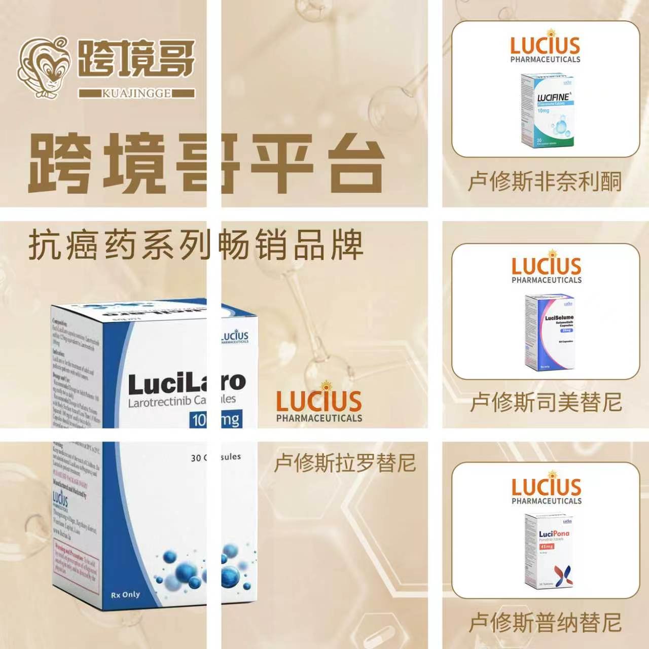 抗癌药系列4产品